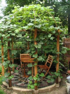 Brooklyn Heights Furnished Apartments Garden Suite Gazebo